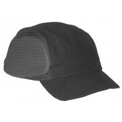 Leijonan kolhulippis