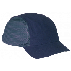 Leijonan kolhulippis