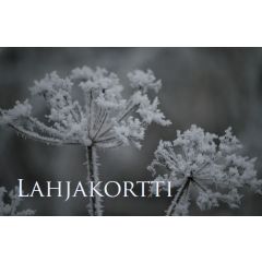 Lahjakortti
