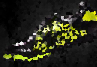 run free
with athlete